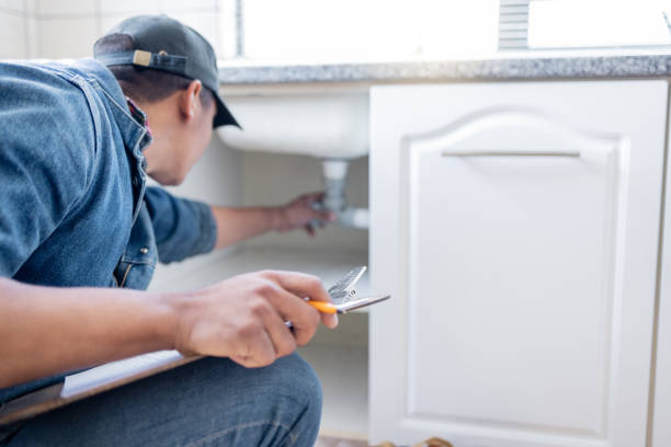 Best Local Plumber Services  in Wild Peach Village, TX